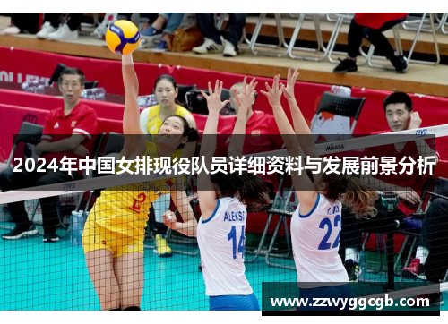 2024年中国女排现役队员详细资料与发展前景分析 2024年中国女排现役队员详细资料与发展前景分析